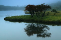 湿原に霧らふ　～覚満淵～