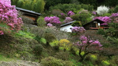 里山の彩