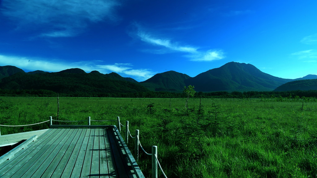 朝靄のステージ　～戦場ヶ原～