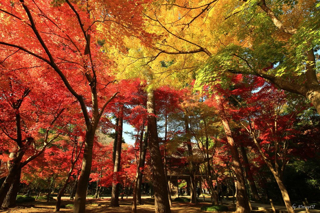 平林禅寺３