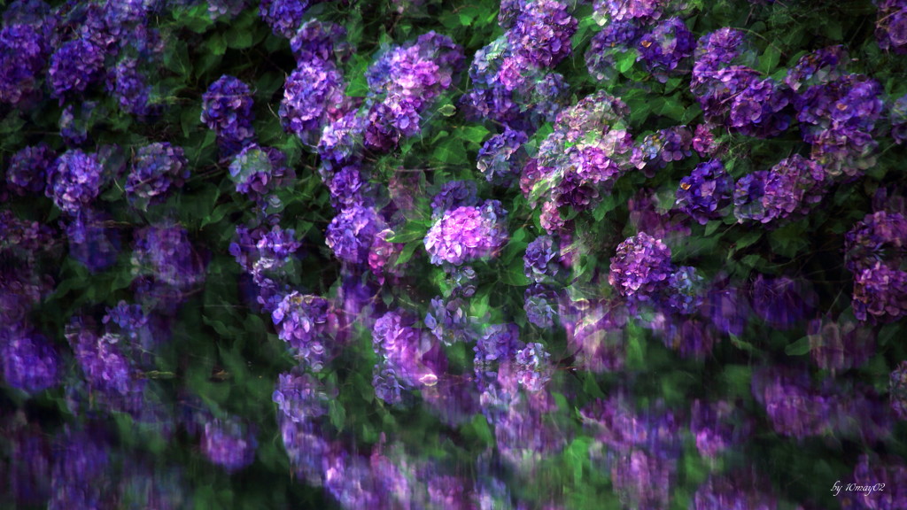 水鏡
