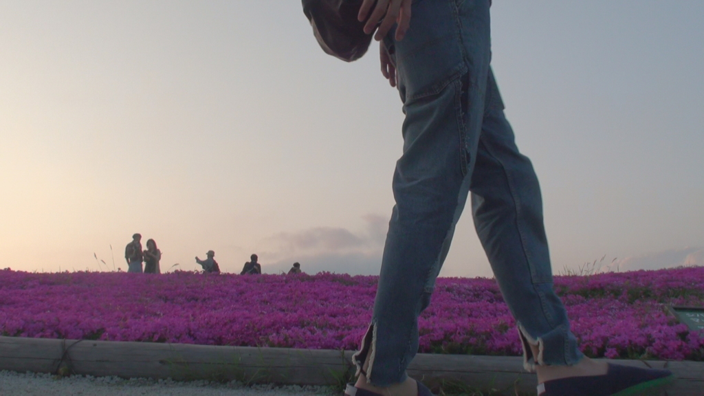 芝桜とポートレート