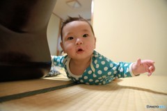 息子