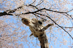 上から目線？