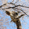 上から目線？