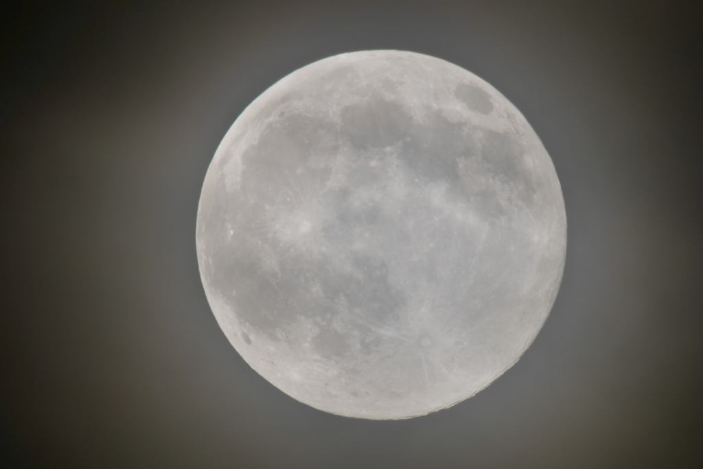 SUPER MOON
