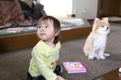 気になる存在