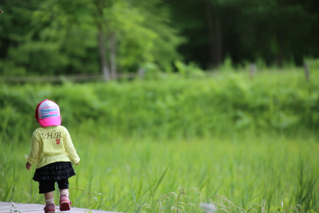 Walk in the green