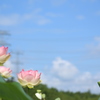 空を彩る