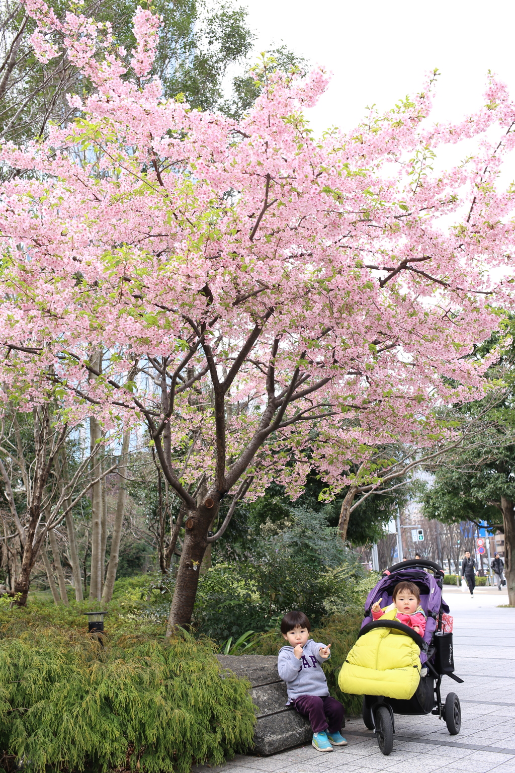 プチ花見