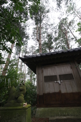カツサンド