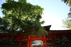 おはようございます。