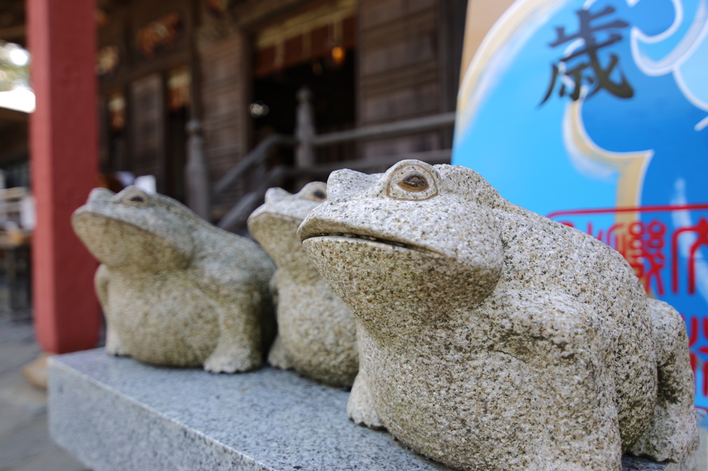 開いた口が塞がらない