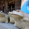 開いた口が塞がらない