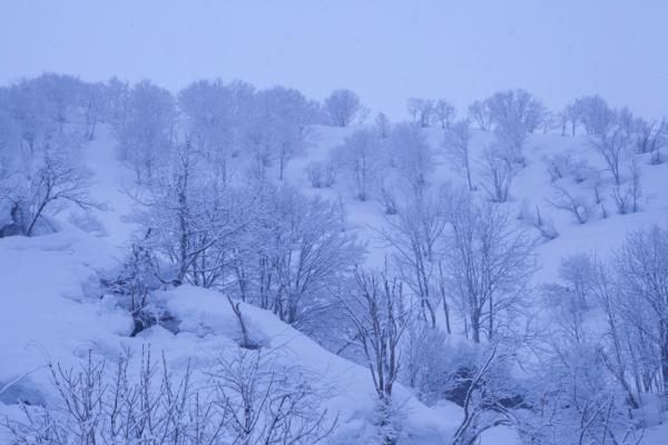 雪山