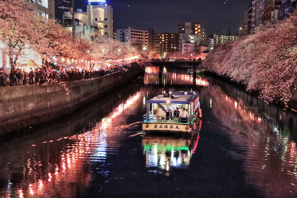 大岡川さくらまつり