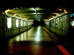 IMGP2522_R