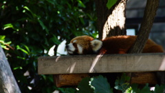 「暑。。」と言ってる気がする