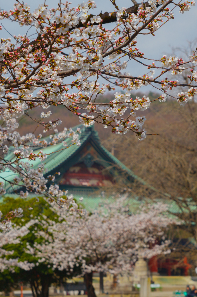 大光院（呑龍様）