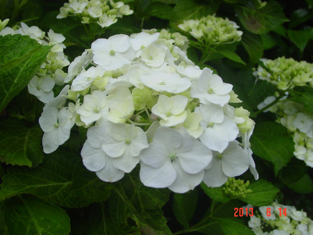 DSC00068