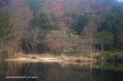植物園004