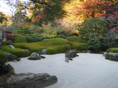 明月院　庭園