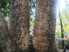 こんなところにも…