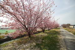 1236EE1F-9B97-4F04-A2E5-23D9AD9A60EF