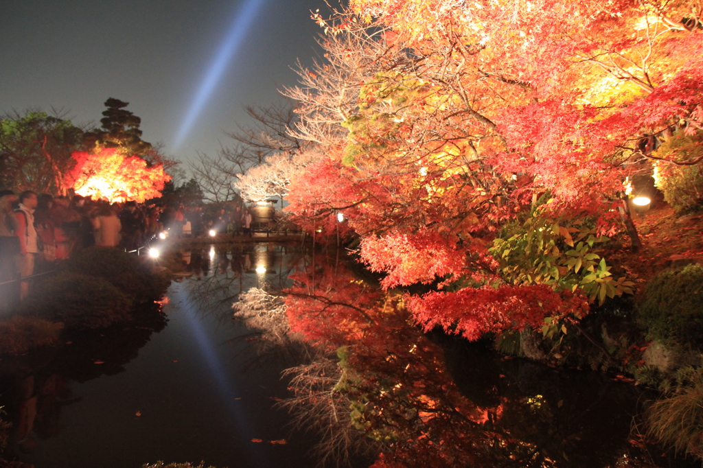 清水寺門前会 夜の特別拝観