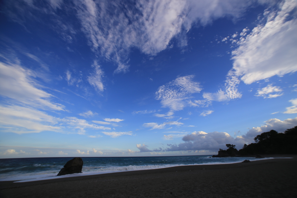 桂浜