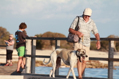 Man's Best Friend