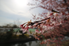 674768EF-D27B-47CB-B293-CEE15136D929