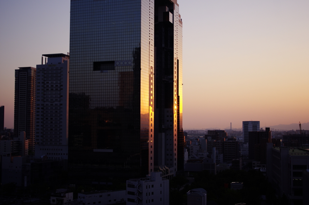 スカイビルにうつる夕日