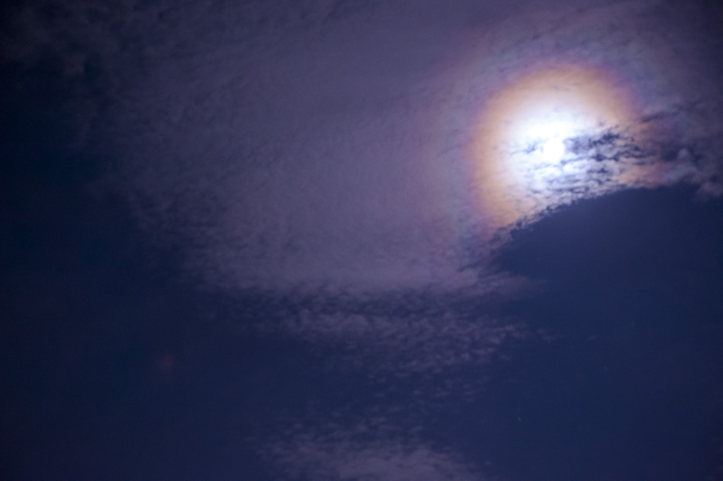 夜の虹