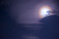 夜の虹