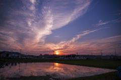 今日の夕焼け