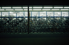 自転車