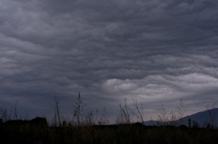 雲感