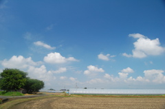 晴れ