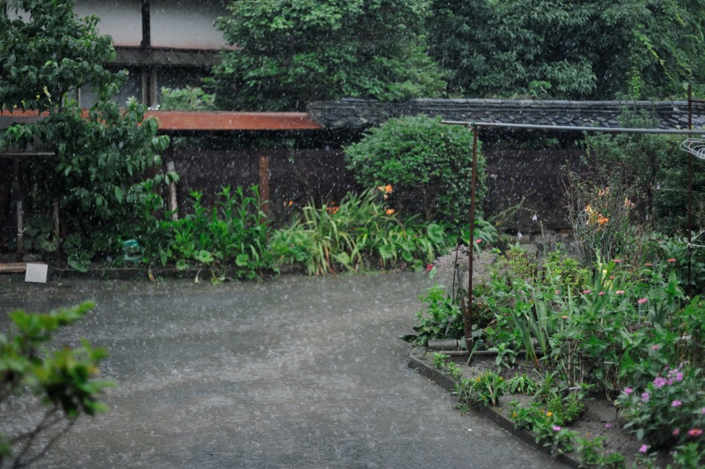 雨