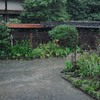 雨