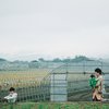 さんぽ