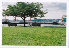 yashica el35 試運転 in 門司港 #3