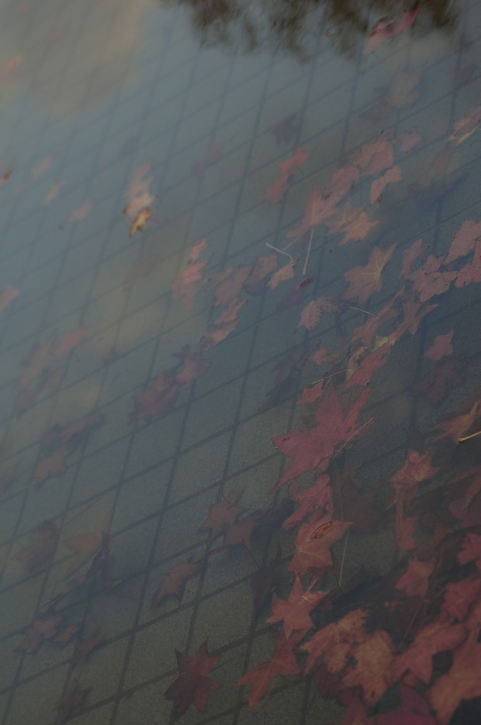 さんぽがてらに