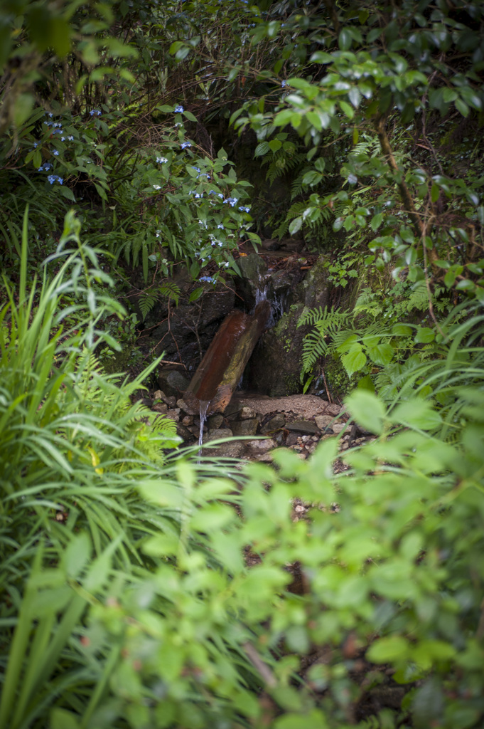 DSC_6691