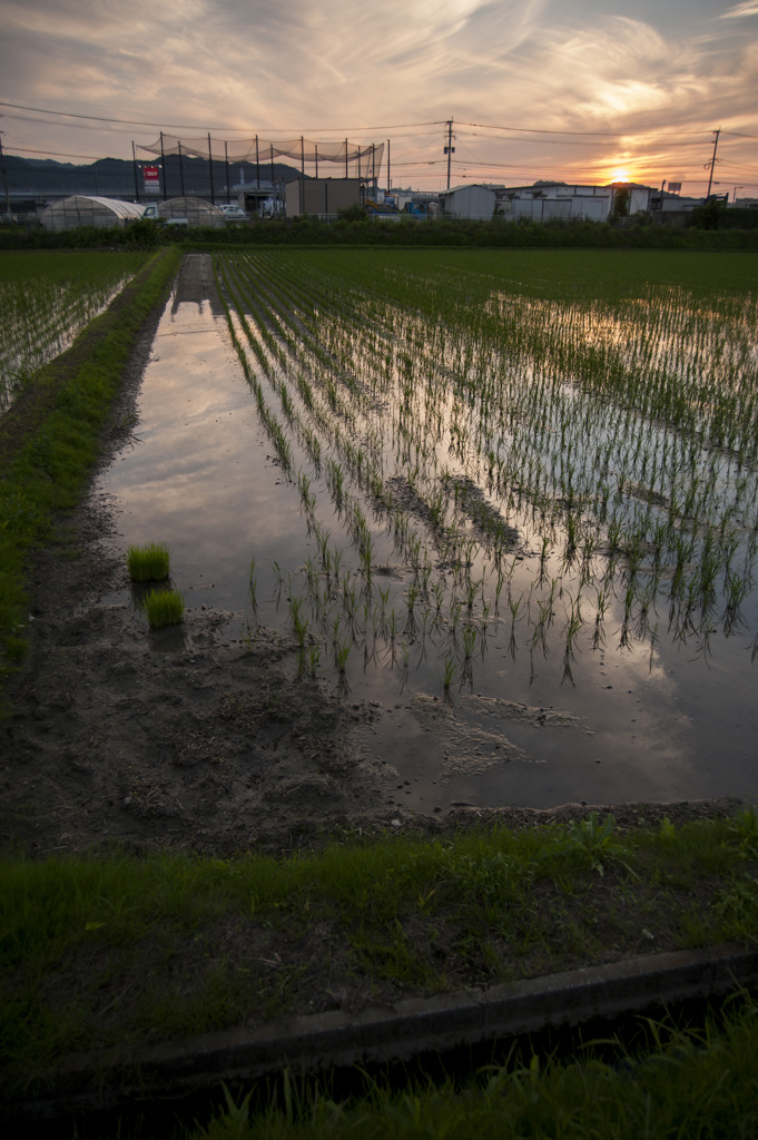 梅雨の夕方