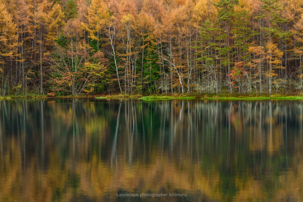 Reflection