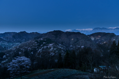 桜仙峡ビュー＜夜明け前＞