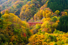 秋の松川渓谷