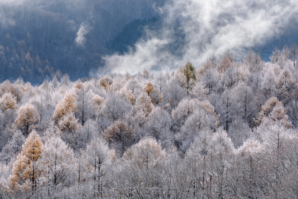 雪化粧